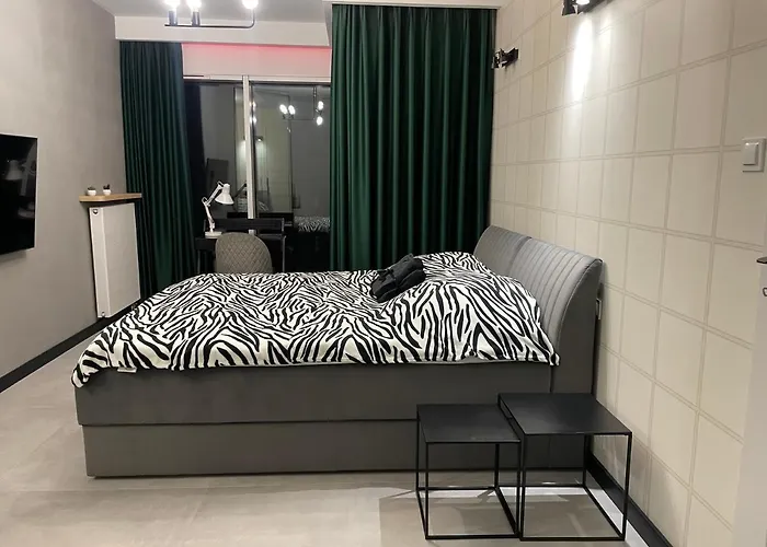 Towarowa Milionowa 39 Check-in 24 H פוזנן